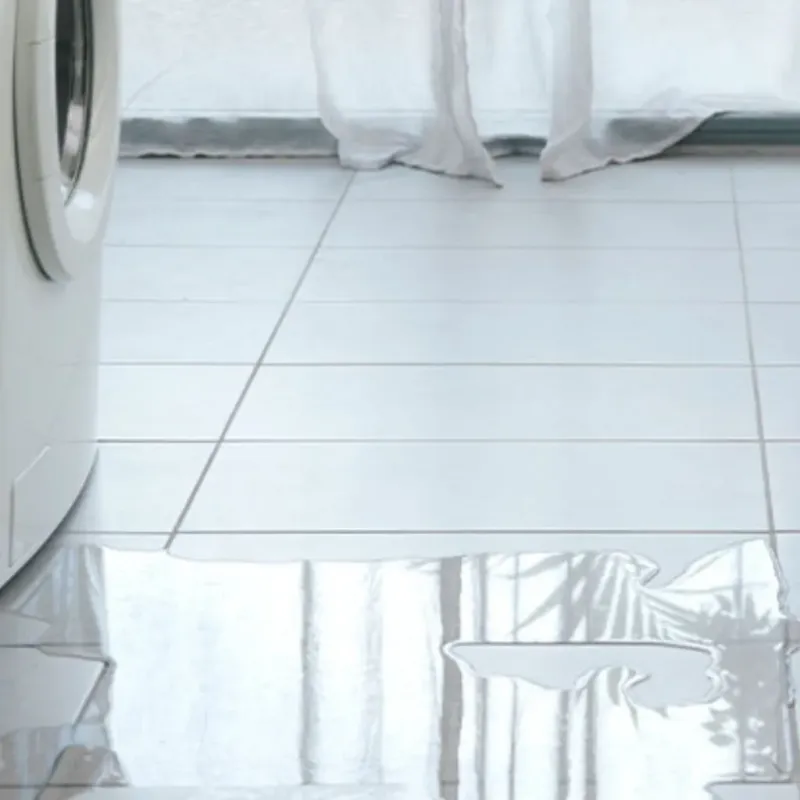 Appliance Leak Cleanup in Redway, CA