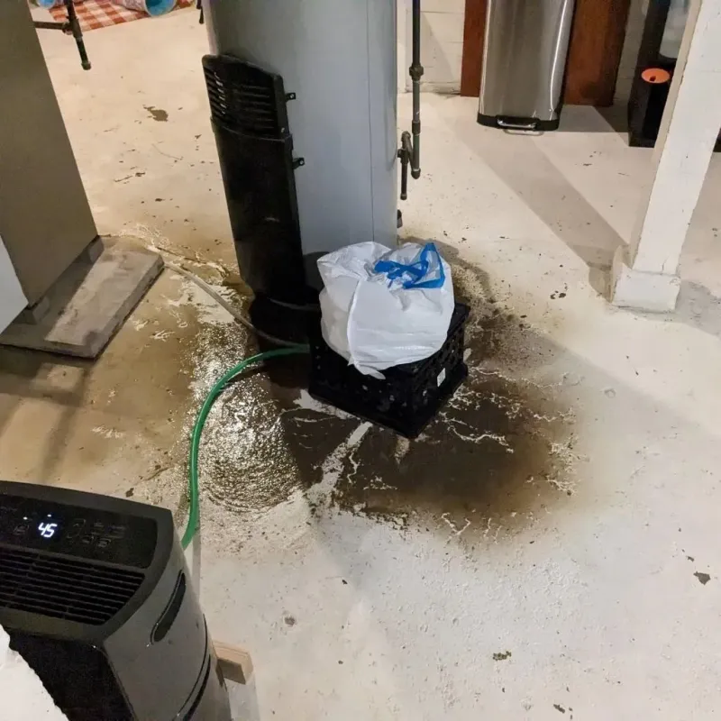 Sewage Backup Cleanup Service in Redway, CA